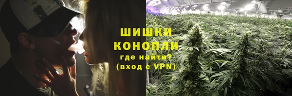ГАЛЛЮЦИНОГЕННЫЕ ГРИБЫ Нязепетровск