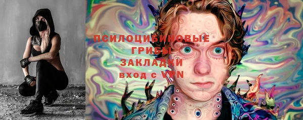 дмт Няндома