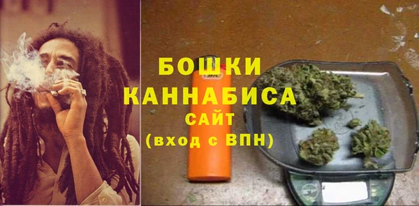 ГАЛЛЮЦИНОГЕННЫЕ ГРИБЫ Нязепетровск
