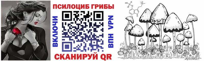Псилоцибиновые грибы прущие грибы  где можно купить   Чебоксары 