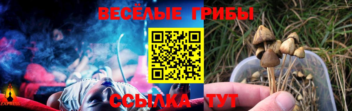 Псилоцибиновые грибы Psilocybine cubensis  Вход с VPN  купить   Чебоксары 