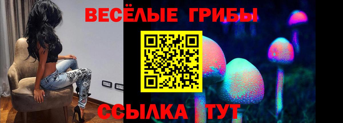 Галлюциногенные грибы Magic Shrooms  Чебоксары  Псилоцибиновые грибы мухоморы 