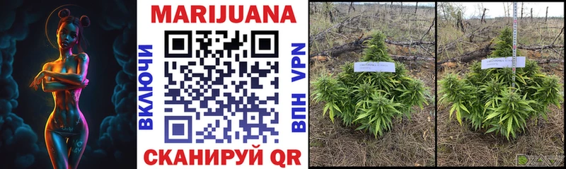 Каннабис SATIVA & INDICA  ОМГ ОМГ ссылки  Чебоксары 